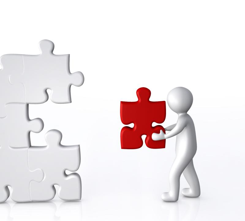 Solution Partner